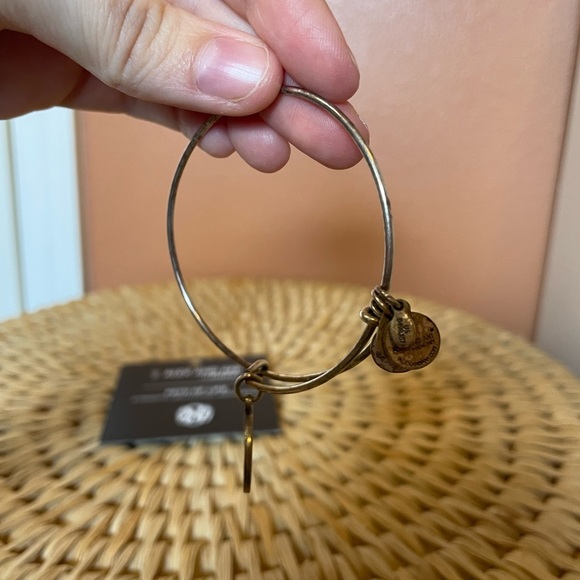 Alex & Ani Path of Life Expandable Silver Bangle - Picture 4 of 5